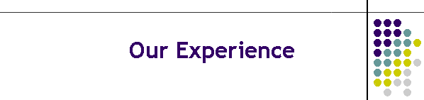 Our Experience