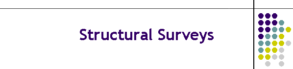 Structural Surveys