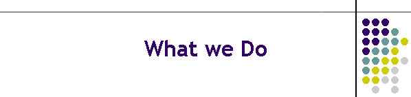What we Do